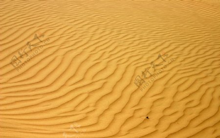 沙漠沙漠贴图