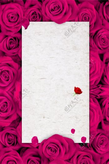 玫瑰花朵三八妇女节海报背景设计