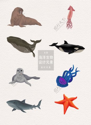 海洋生物插画设计元素