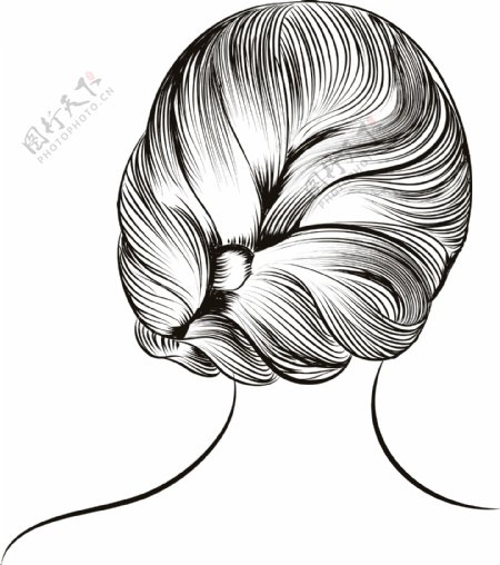 黑白手绘女性发型插画