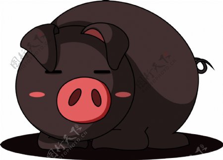 黑猪卡通小黑猪猪年小猪卡通可爱小猪