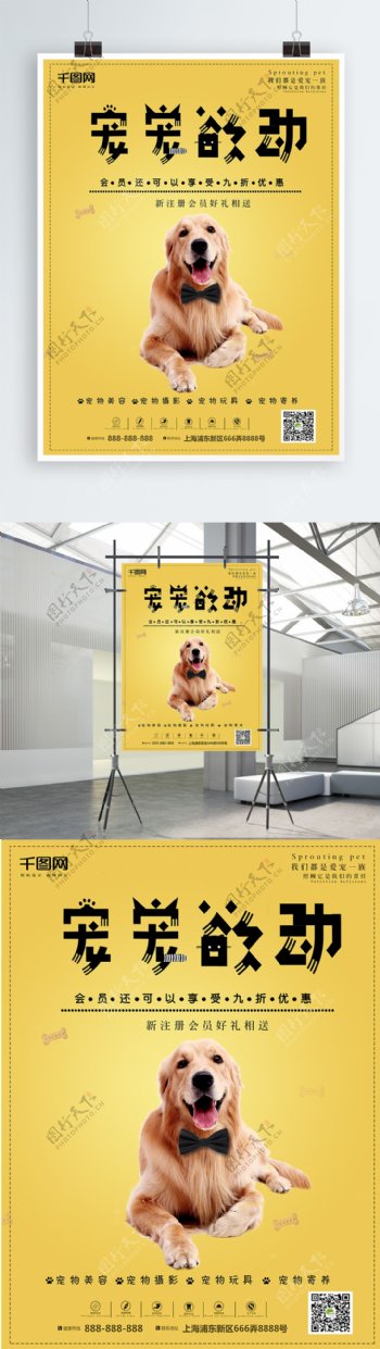 宠物商店黄色促销海报psd高清下载