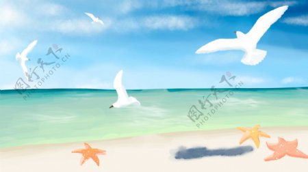 水彩绘海滩海鸥海星psd插画背景