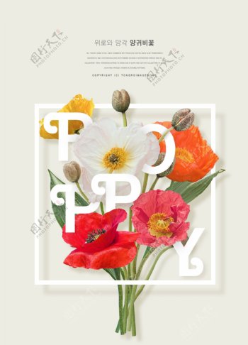 精美韩系花束边框海报设计