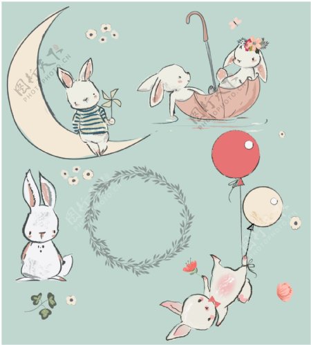 月亮兔子