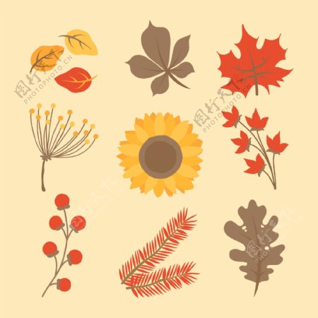 秋季卡通叶子花朵矢量素材