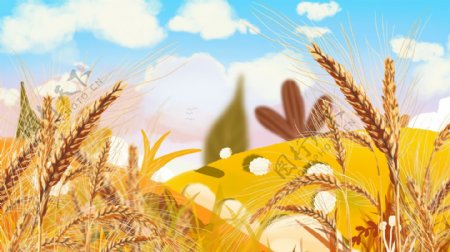 秋分节气小麦麦田天空背景设计