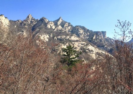 山坡美景