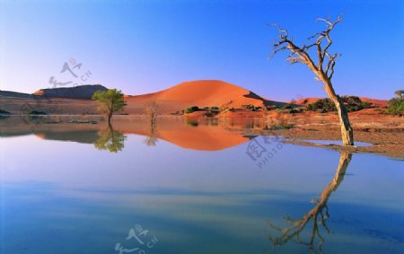 沙漠湖泊