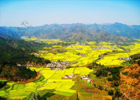 田园油菜花风光摄影