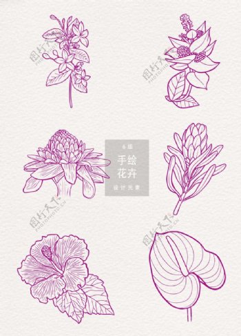 手绘线性创意花卉插画