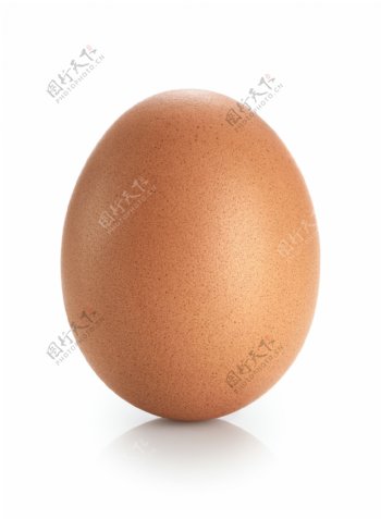 一个棕色的鸡蛋特写