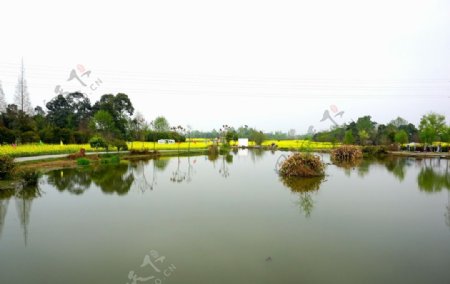 香草湖