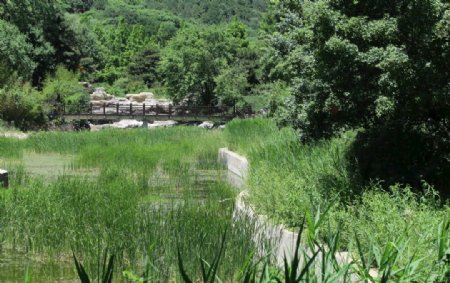 植物园风景