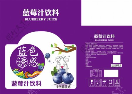 蓝莓箱食品包装设计