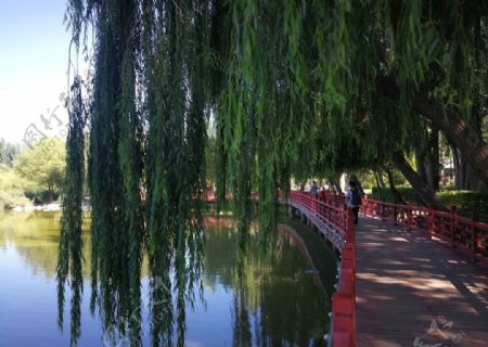 泉湖公园