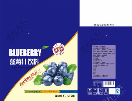 蓝莓美食饮品包装设计
