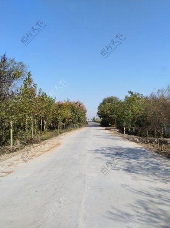 乡村道路风景