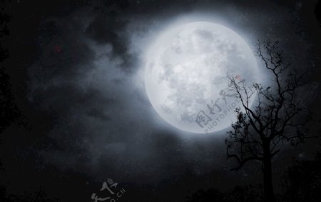 夜空月光