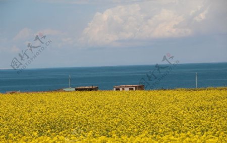 青海湖风景