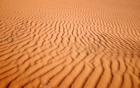 沙漠沙漠风景