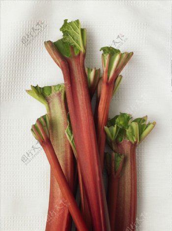 红菜苔