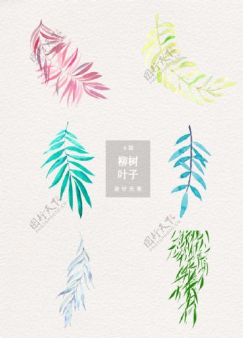 清新柳树叶子装饰图案设计