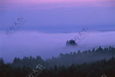 清晨的薄雾