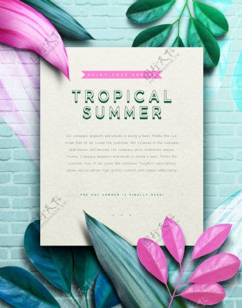 夏季热带植物花朵说明海报设计