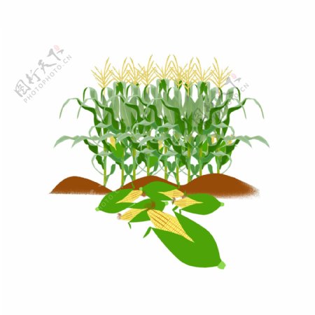 原创秋收玉米地绿色植物元素