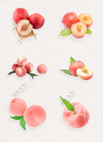 水果食物果实植物叶子桃子png素材