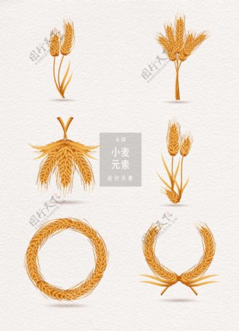 小麦矢量设计元素