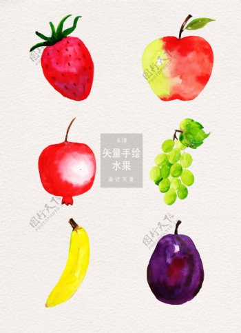 手绘水彩水果矢量素材