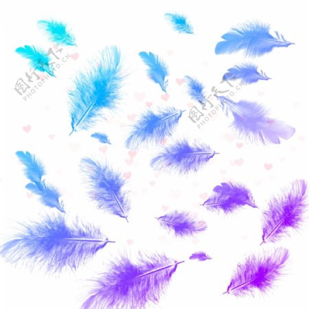 漂浮羽毛蓝紫渐变装饰元素设计