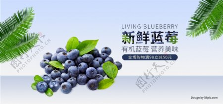 电商淘宝水果生鲜新鲜有机蓝莓全屏促销海报