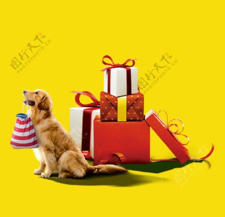 狗和礼品分层设计图