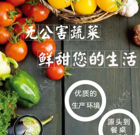 上海农展会协展使用蔬菜易拉宝