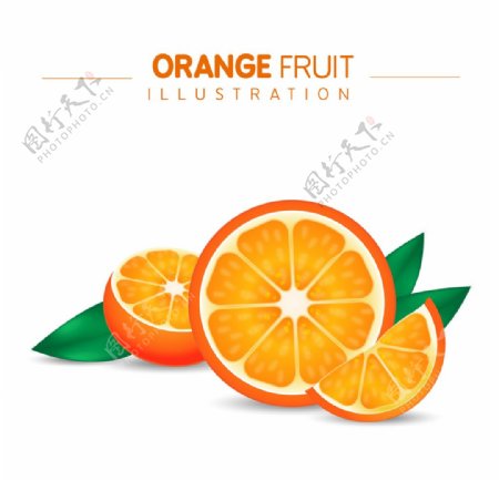 果粒橙插图