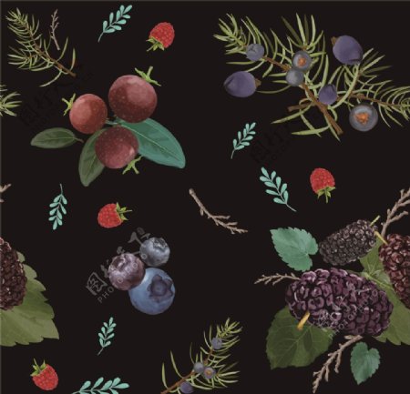 复古水果印花服装纺织图案
