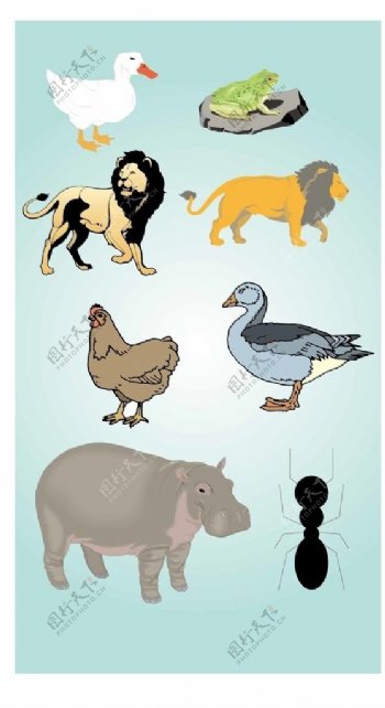 矢量卡通动物系列