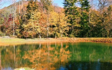 秋天树木湖泊景观