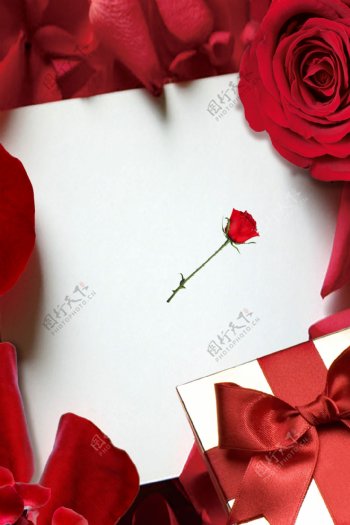 浪漫红玫瑰感恩节礼物背景素材