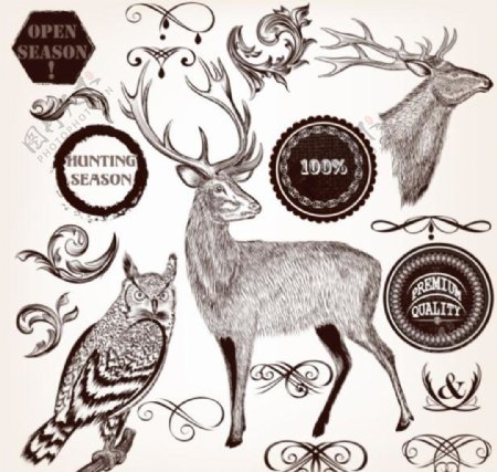 北欧手绘野生动物黑白插画