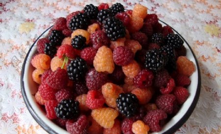 一碗红树莓