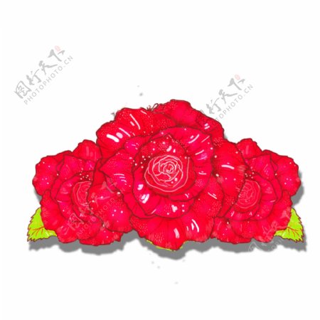 手绘玫瑰花装饰样式透明底可商用素材