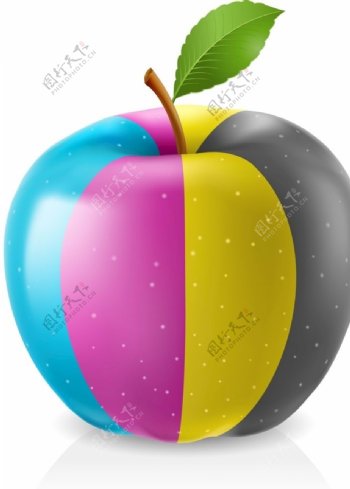 彩绘四色条纹苹果