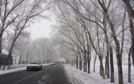 冬天公路树挂