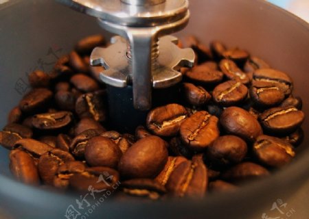 机器研磨咖啡豆