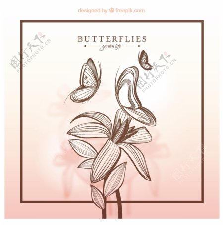 手绘蝴蝶和鲜花