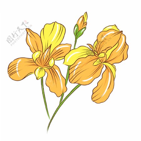 手绘植物花卉黄色花束可商用